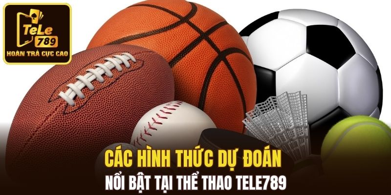 Các hình thức dự đoán nổi bật tại thể thao Tele789
