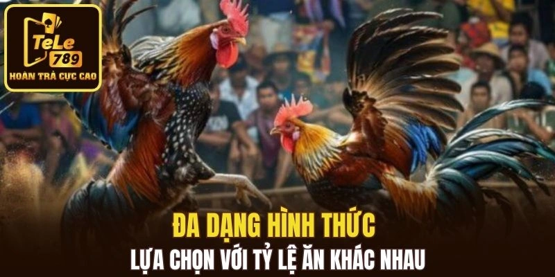 Đa dạng hình thức lựa chọn với tỷ lệ ăn khác nhau
