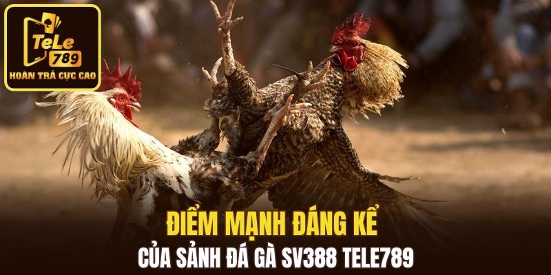 Điểm mạnh đáng kể của sảnh đá gà SV388 Tele789