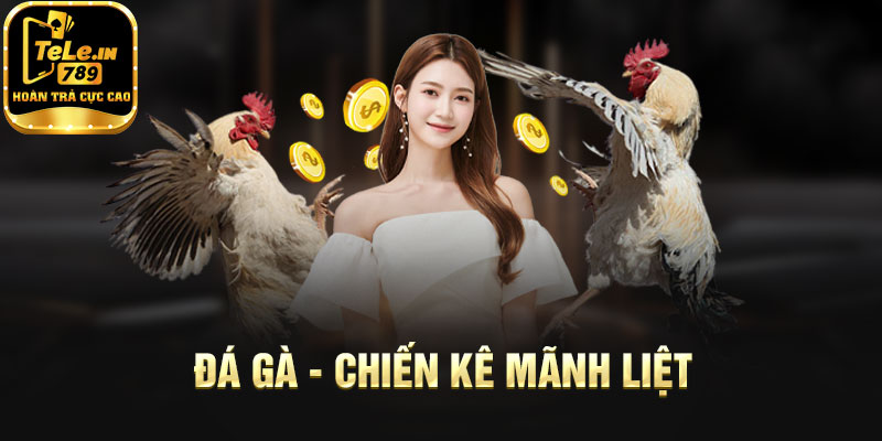 Đá gà - Chiến kê mãnh liệt